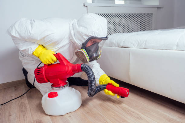 Emergency Pest Control Services in Rossmoor, CA